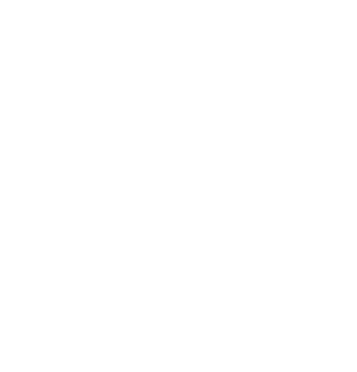 JSON Feed